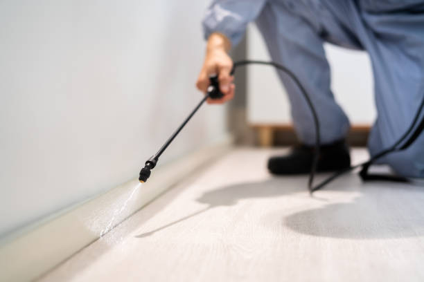Licensed Cockroach Control service in Krebs, OK - Nex Pest Control