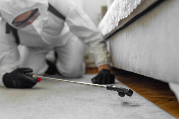 Professional Cockroach Control technician working in Krebs, OK