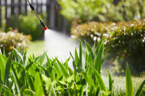 24/7 Emergency Cockroach Control experts in Krebs, OK