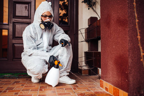 Reliable Cockroach Control contractor in Krebs, OK by Nex Pest Control